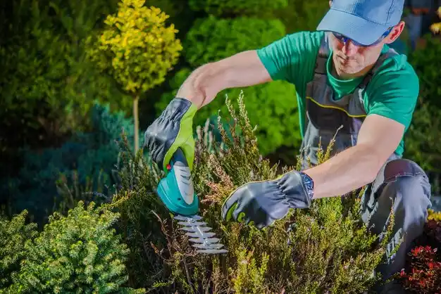 landscaping services Drexel
